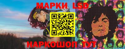 шишки Бийск