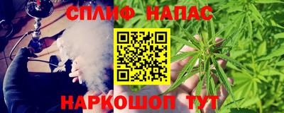 шишки Бийск