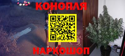 шишки Бийск