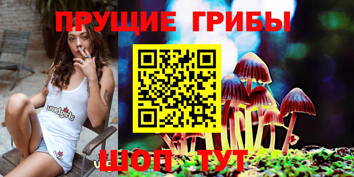 Киров  Псилоцибиновые грибы мухоморы  купить наркоту  Вход с VPN 